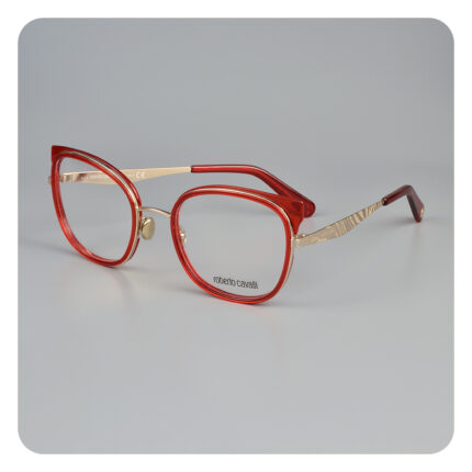 Roberto-Cavalli-5093-066