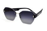 Traveler 6006 c6