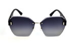 Traveler 6006 c6