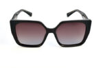 Traveler 9013 c2